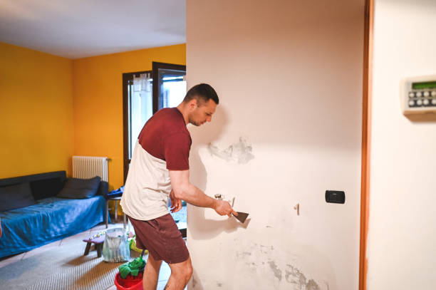 Best Mold Testing and Inspection Services in Amboy, IL